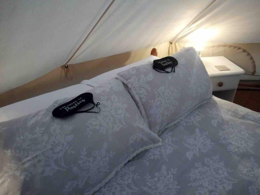 Cox Hill Glamping Badger Hotel ทรูโร ภายนอก รูปภาพ