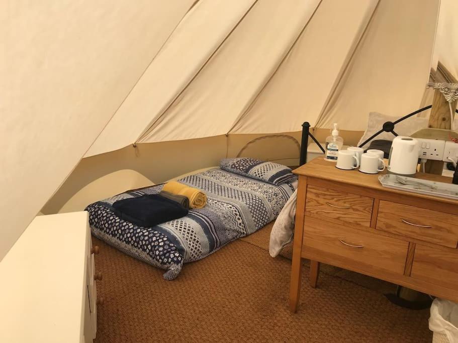 Cox Hill Glamping Badger Hotel ทรูโร ภายนอก รูปภาพ